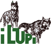 Logo Camping I Lupi