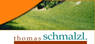 Thomas Schmalzl Baggerarbeiten